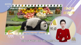 成人在线视频免费观看