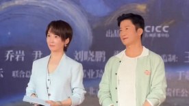 国内精品久久久久久久久野战