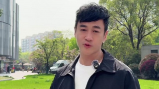 树屋轻调